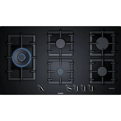 EP9A6SB90N SIEMENS Gaskookplaat