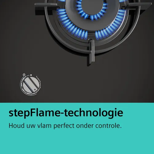 EP9A6SB90N SIEMENS Gaskookplaat